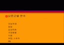 백화점(소매점포) 19페이지