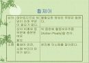 장애인 의복 12페이지