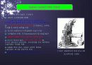 기계 동역학의 역사 5페이지