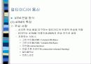 네트워크 기반 멀티미디어 10페이지