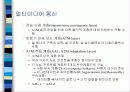 네트워크 기반 멀티미디어 13페이지