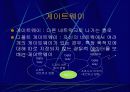 인터넷 엑세스 네트워크 14페이지
