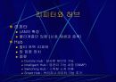 인터넷 엑세스 네트워크 16페이지