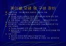 인터넷 엑세스 네트워크 24페이지