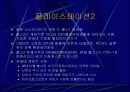 인터넷 엑세스 네트워크 33페이지