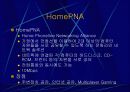 인터넷 엑세스 네트워크 35페이지