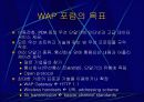 인터넷 엑세스 네트워크 46페이지
