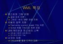 인터넷 엑세스 네트워크 51페이지