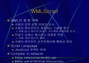 인터넷 엑세스 네트워크 52페이지