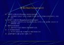 지각 9페이지