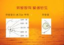 유방암의 증상과 진단, 치료 그리고 예방에 관한 이해 8페이지
