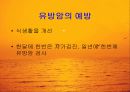 유방암의 증상과 진단, 치료 그리고 예방에 관한 이해 13페이지