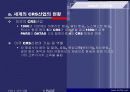 항공사-CRS의 개념과 정의, 그리고 산업 현황과 활용에 관하여 6페이지