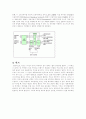 컴퓨터의 부품과 용도(모뎀,네트워크 케이블,Network Interface Card(NIC),허브) 6페이지