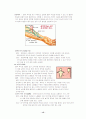만성 신부전 15페이지