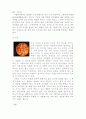 이탈리아에 관하여.. 4페이지