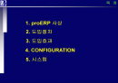 proERP 사상, 도입절차와 도입효과 그리고 시스템에 관한 완전 분석 2페이지