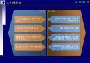 proERP 사상, 도입절차와 도입효과 그리고 시스템에 관한 완전 분석 19페이지