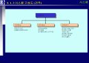proERP 사상, 도입절차와 도입효과 그리고 시스템에 관한 완전 분석 28페이지