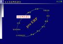 proERP 사상, 도입절차와 도입효과 그리고 시스템에 관한 완전 분석 29페이지