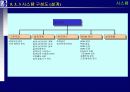 proERP 사상, 도입절차와 도입효과 그리고 시스템에 관한 완전 분석 36페이지