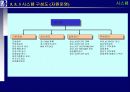 proERP 사상, 도입절차와 도입효과 그리고 시스템에 관한 완전 분석 46페이지