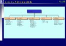 proERP 사상, 도입절차와 도입효과 그리고 시스템에 관한 완전 분석 66페이지