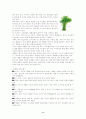 식이요법차원에서의 건강식품 9페이지