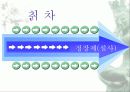 차의 종류와 효능, 마시는 방법과 활용법에 관한 이해와 분석 11페이지