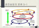 광통신망 및 광전송망의 기본구조에 대한 이해와 분석 7페이지
