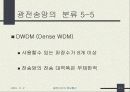 광통신망 및 광전송망의 기본구조에 대한 이해와 분석 11페이지