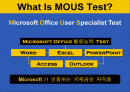 컴퓨터 자격 시험-MICRO SOFT`S MOUS TEST 에 관한 분석과 이해 2페이지