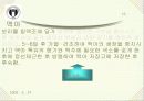 술에 관한 모든 이해와 분석-제조과정, 인체에 미치는 영향, 바람직한 음주방법 등 11페이지