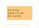 광고기획안의 실제 사례-오피스텔의 성공적 분양을 위한 광고 기획 10페이지