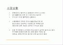 광고기획안의 실제 사례-오피스텔의 성공적 분양을 위한 광고 기획 13페이지