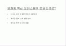 광고기획안의 실제 사례-오피스텔의 성공적 분양을 위한 광고 기획 22페이지