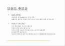 광고기획안의 실제 사례-오피스텔의 성공적 분양을 위한 광고 기획 29페이지