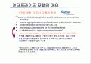 웹서비스에 기반한   IBM의 통합 포털 솔루션 구축방안 3페이지
