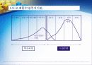 생산관리 및 생산 전략 5페이지