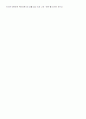 이라크 전쟁이 세계 각 분야에 미치는영향 8페이지