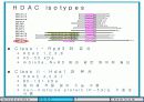 Histone modification 연구의 역사 5페이지