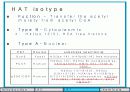Histone modification 연구의 역사 8페이지