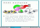 Histone modification 연구의 역사 15페이지