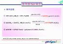 광촉매(Photocatalyst)에 대한 이해와 분석 3페이지