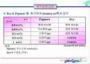 광촉매(Photocatalyst)에 대한 이해와 분석 13페이지