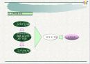 ISO 9000의 개요,ISO 9000 시리즈, 인증 절차 / 추진 단계 및 사례와 결론 19페이지