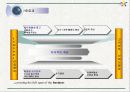 ISO 9000의 개요,ISO 9000 시리즈, 인증 절차 / 추진 단계 및 사례와 결론 24페이지