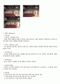 농구의 공격 및 수비 전술 3페이지