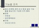 자료 필요 16페이지