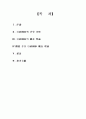 행정국가이론 6페이지